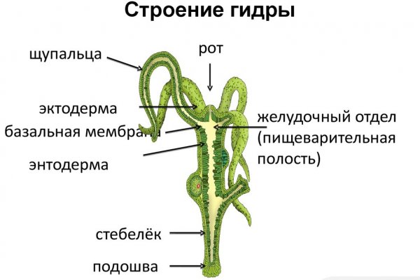 Kraken актуальные зеркала krakentor site