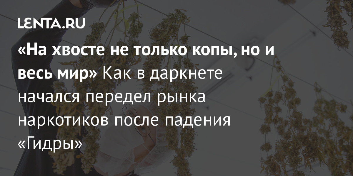 Где найти рабочую ссылку на кракен