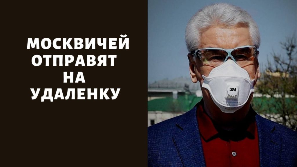 Gidra магазин